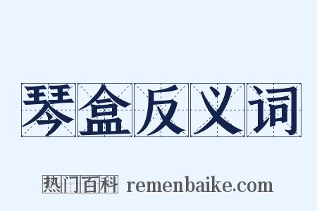 琴盒反义词是什么意思的图片
